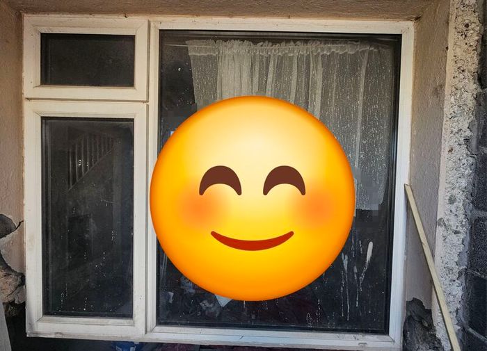 windows