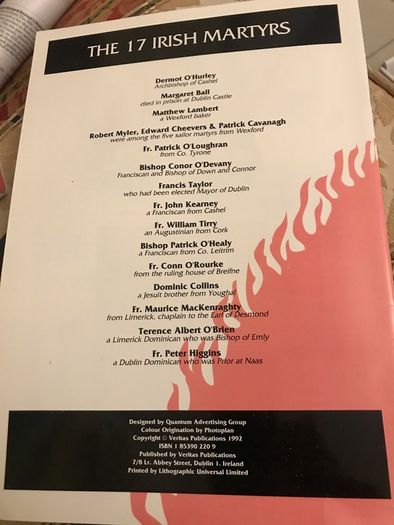 The 17 Irish Martyrs