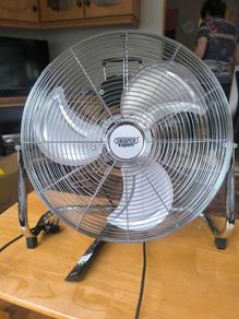 Fan