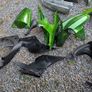 ninja parts Image 7
