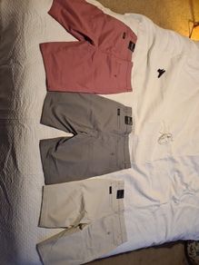 chino shorts
