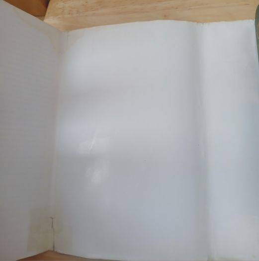 Oscar Wilde by Richard Ellmann Hamish Hamilton 1987 Hardback
