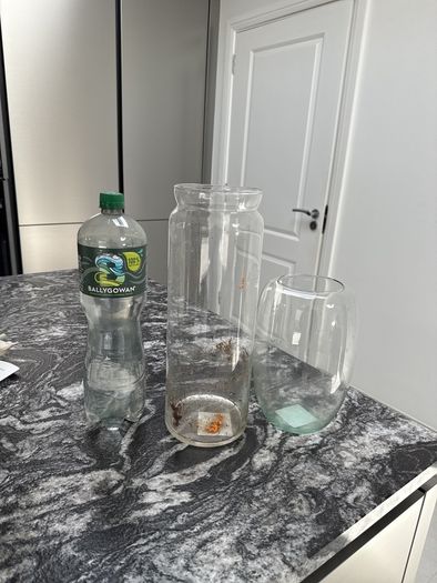 Free Flower Vase
