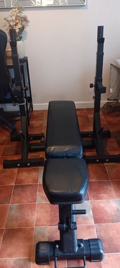 Squat Rack + Bench Combo