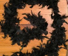 Black feather boa