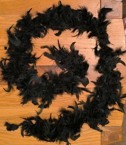 Black feather boa