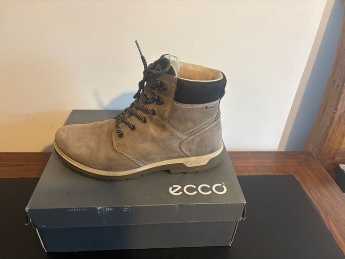 Ecco -41