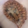 Handmade Natural Wood Rosaries FREE DELIVERY Image 5