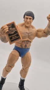 WWE Bruno Sammartino Elite 25 Wrestling Figure