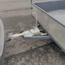 heavy duty single axel trailer Image 4