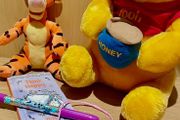 Disney Diary + Pen Brand New Bundle