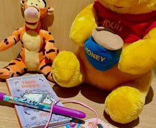 Disney Diary + Pen Brand New Bundle