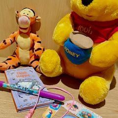 Disney Diary + Pen Brand New Bundle