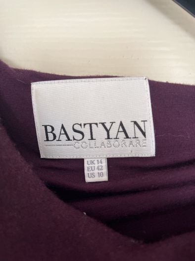 Bastyn wine Dress