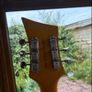 lindo Rosetta guitar Image 3