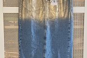 Denim Maxi Skirt Zara New S