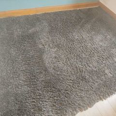 Shaggy rug