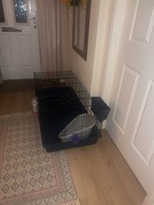 rabbit cage