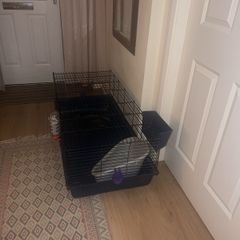 rabbit cage