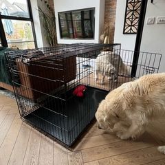 Large Dog Cage