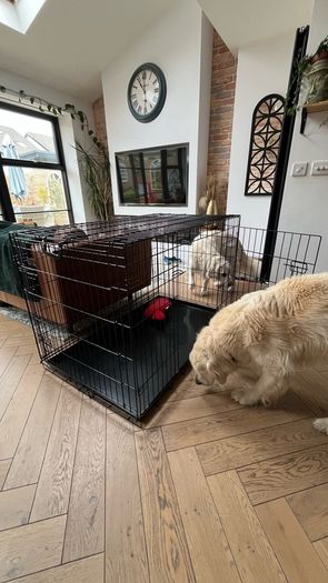 Large Dog Cage