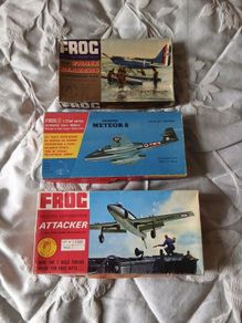 Frog model kits