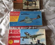 Frog model kits