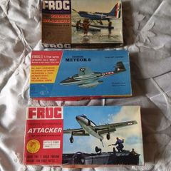 Frog model kits