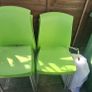 Chairs Image 2