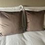 Scatterbox Bellini Mink Velour Cushions Brand New x2 Image 2