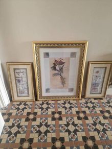 pictures