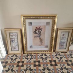 pictures