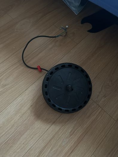 Scooter motor