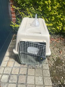 Dog Travel Crate