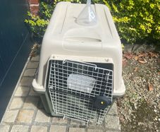 Dog Travel Crate