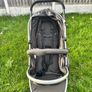 Double Tandem Buggy for Sale Image 3