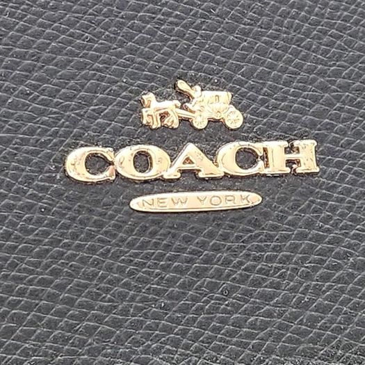 coach large dome bag
