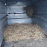 Ifor Williams Cattle body 14ft Image 4