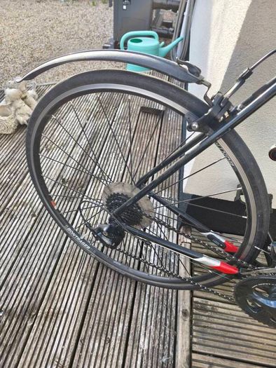 trek domane