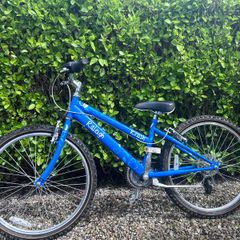 Raleigh Krush 24