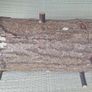 Pine wood Box Image 6
