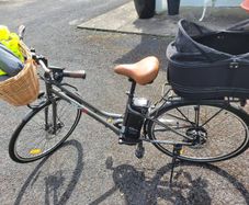 E Bike Rks Mj1
