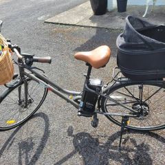 E Bike Rks Mj1