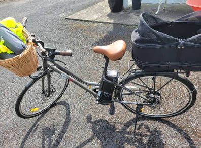 E Bike Rks Mj1