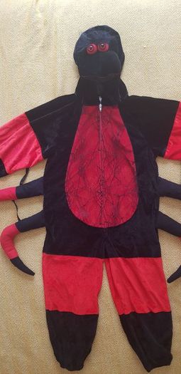 Spider costume