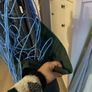 Rotary clothes airer from. Lidl Image 2
