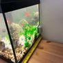 Fish tank 54litres. Image 3