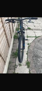 mountain bike
