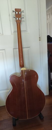 Fretless Bass guitar