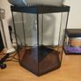 Hexagon Fish Tank for Free Image 2